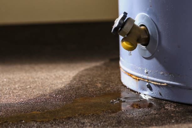 Best Carpet water damage restoration  in Dike, IA
