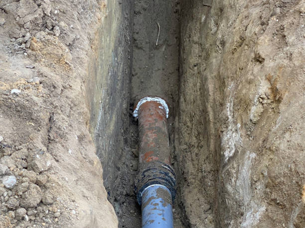 Best Mold removal after water damage  in Dike, IA