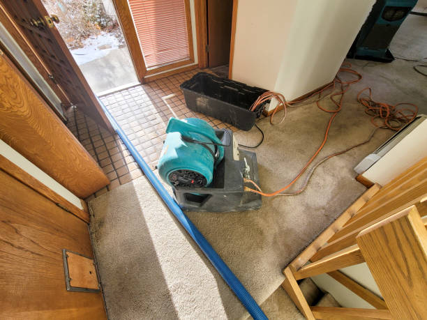 Best Basement water damage restoration  in Dike, IA