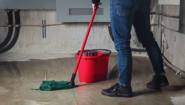 Best Mold removal after water damage  in Dike, IA