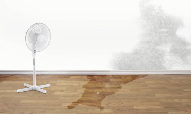 Best 24-hour water damage restoration  in Dike, IA
