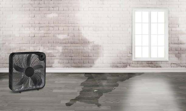 Best Sewage cleanup and water damage restoration  in Dike, IA