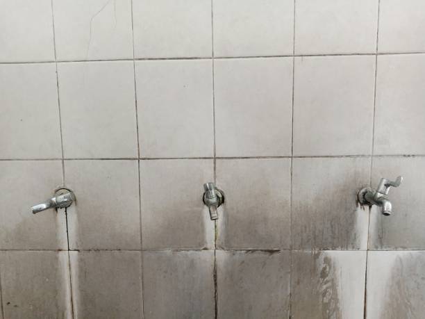 Best Water damage restoration near me  in Dike, IA