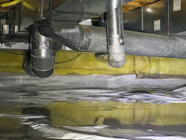 Best Flood damage cleanup  in Dike, IA
