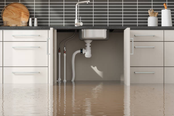 Reliable IA Water damage restoration Solutions